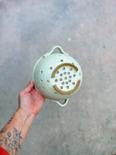 Load image into Gallery viewer, Berry Bowl
